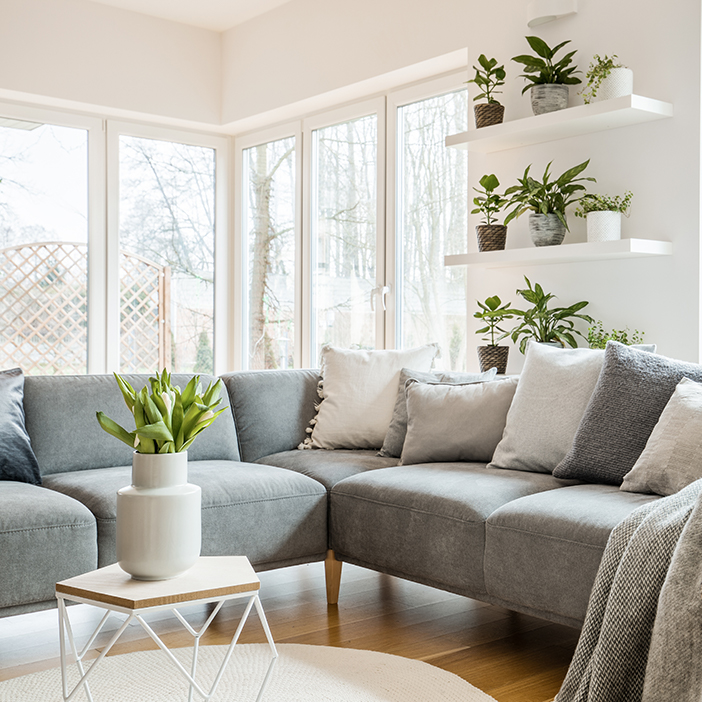 Scandinavian style living room with grey sofa and plant pots